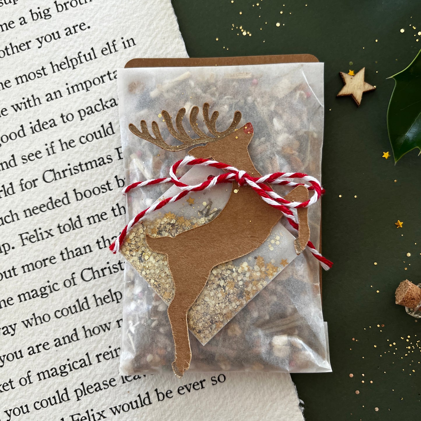 The Reindeer Letter with Magical Reindeer Food